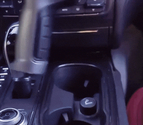 IMG_0050.gif